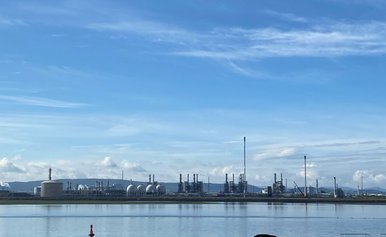 Pharmaceutical & Chemical